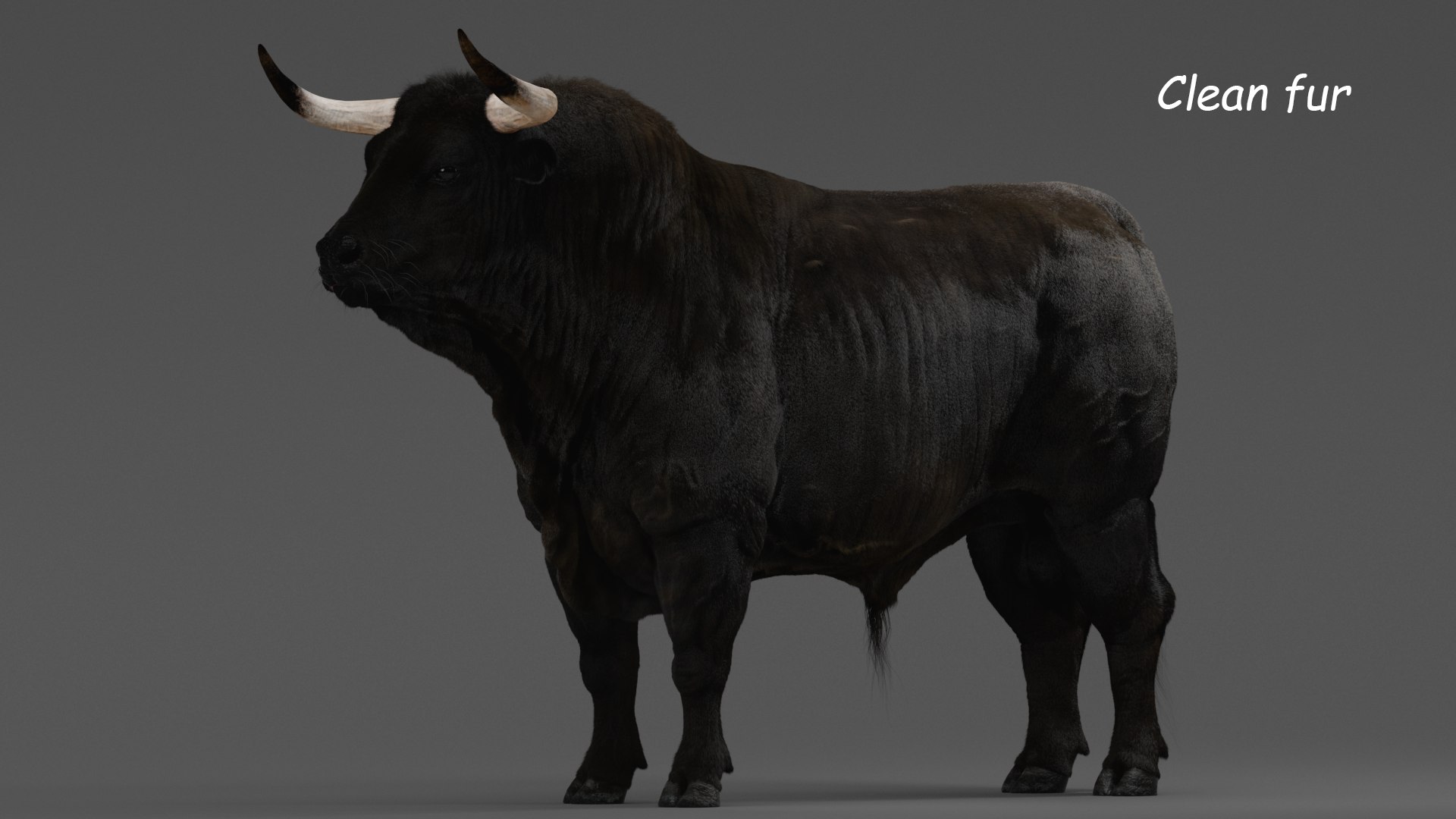 Bull ANIMATED model https://p.turbosquid.com/ts-thumb/mt/UsQiAo/oS/1_clear/png/1635514288/1920x1080/fit_q87/06da504b9ea8283cae45c953a1260e59207922e6/1_clear.jpg