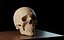 3D accurate human skull model
