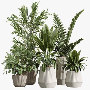 AV Indoor Plants Set 225 Eucalyptus Bouquet and Areca Palm and Ficus Elastica and Zamiifolia 3D