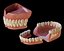 Denti umani