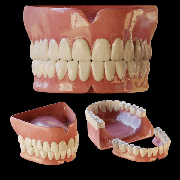 采集人类的牙齿collada模型下载