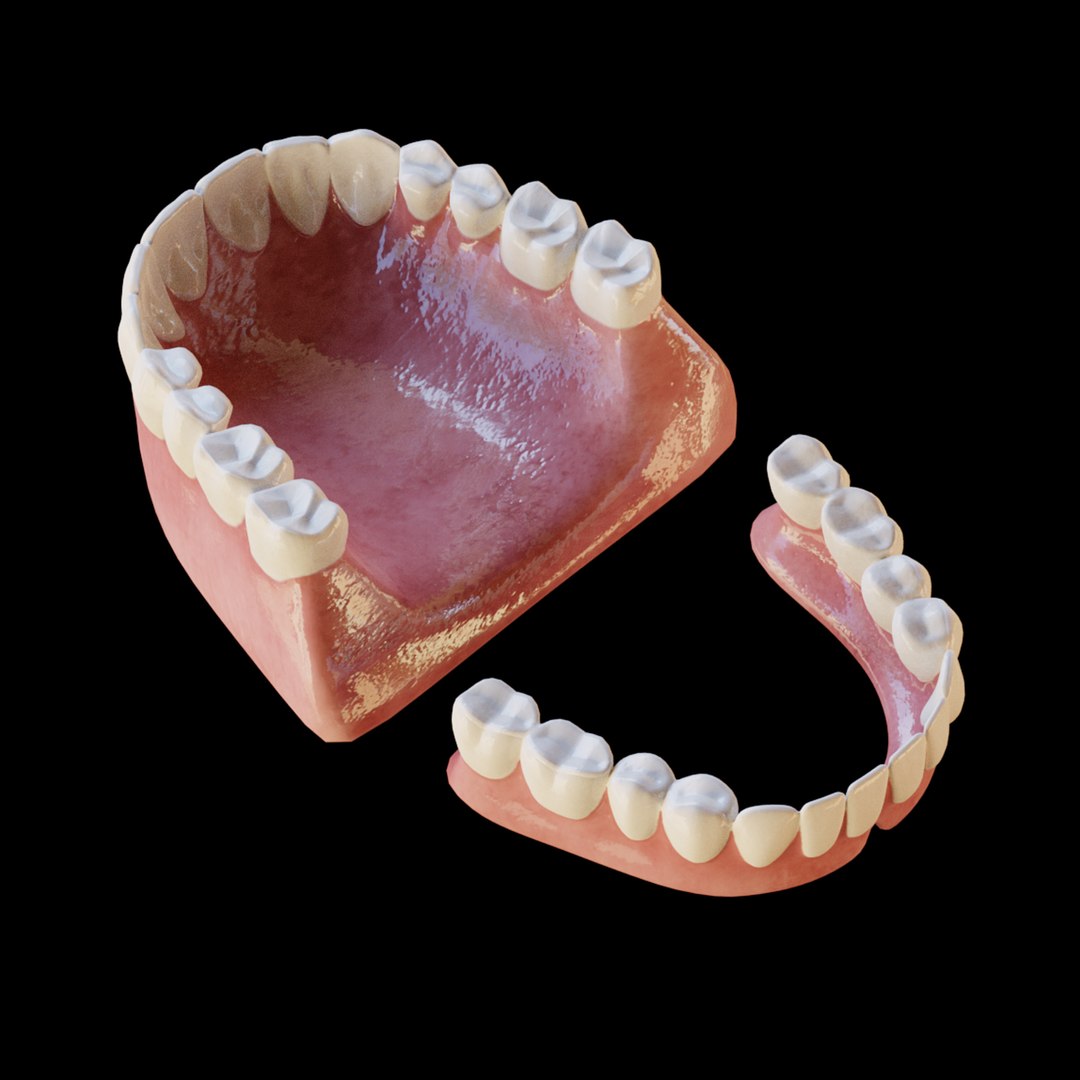 human teeth 3D model https://p.turbosquid.com/ts-thumb/mt/c501v2/ks/04/jpg/1763109424/1920x1080/fit_q87/8e4162eb6cf636cb7098368716c9b41605d9d7ed/04.jpg