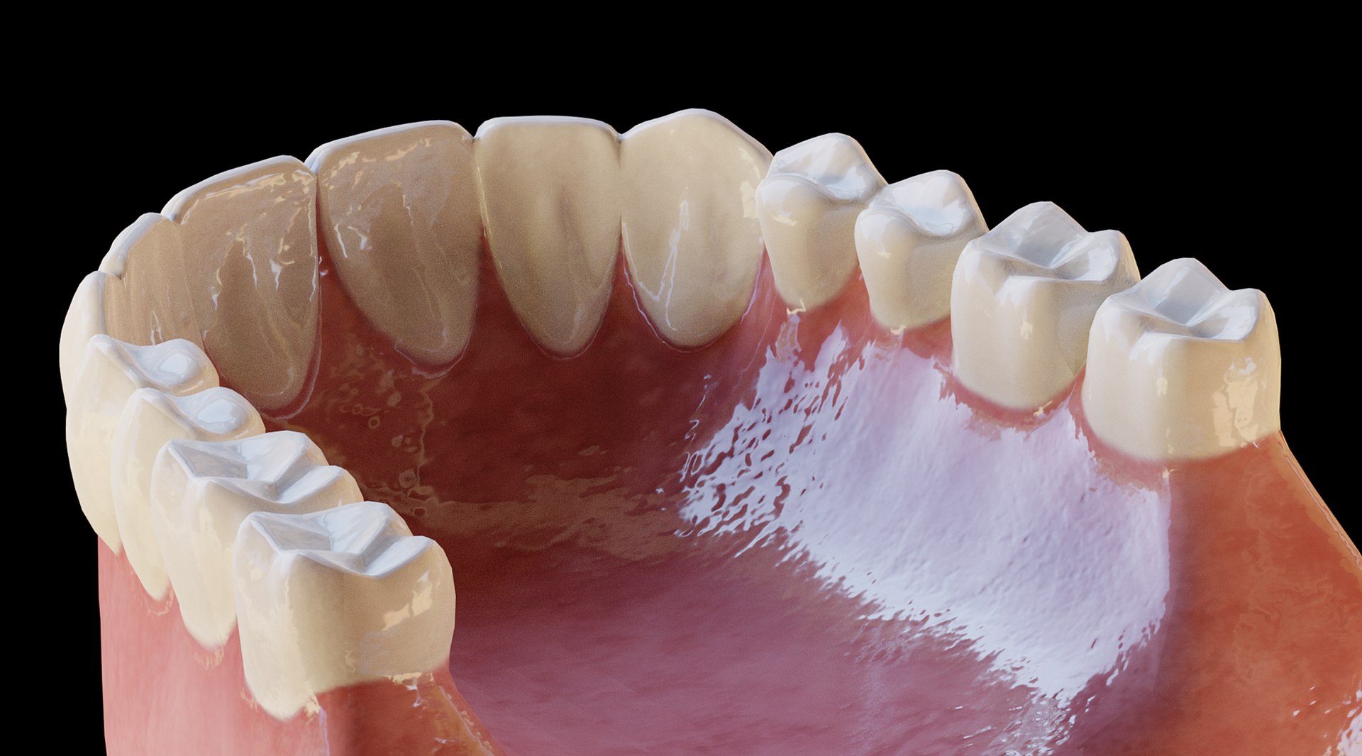human teeth 3D model https://p.turbosquid.com/ts-thumb/mt/c501v2/p4/06/jpg/1635524312/1920x1080/fit_q87/3692393a204b539ed0f321ab35d64ce544e2241c/06.jpg