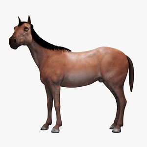 Cavalo realista e RIGGED Modelo 3D $199 - .max - Free3D