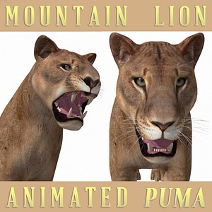 3D mountain lion