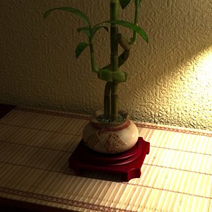Bamboo Plant