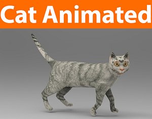 cat animated(1)