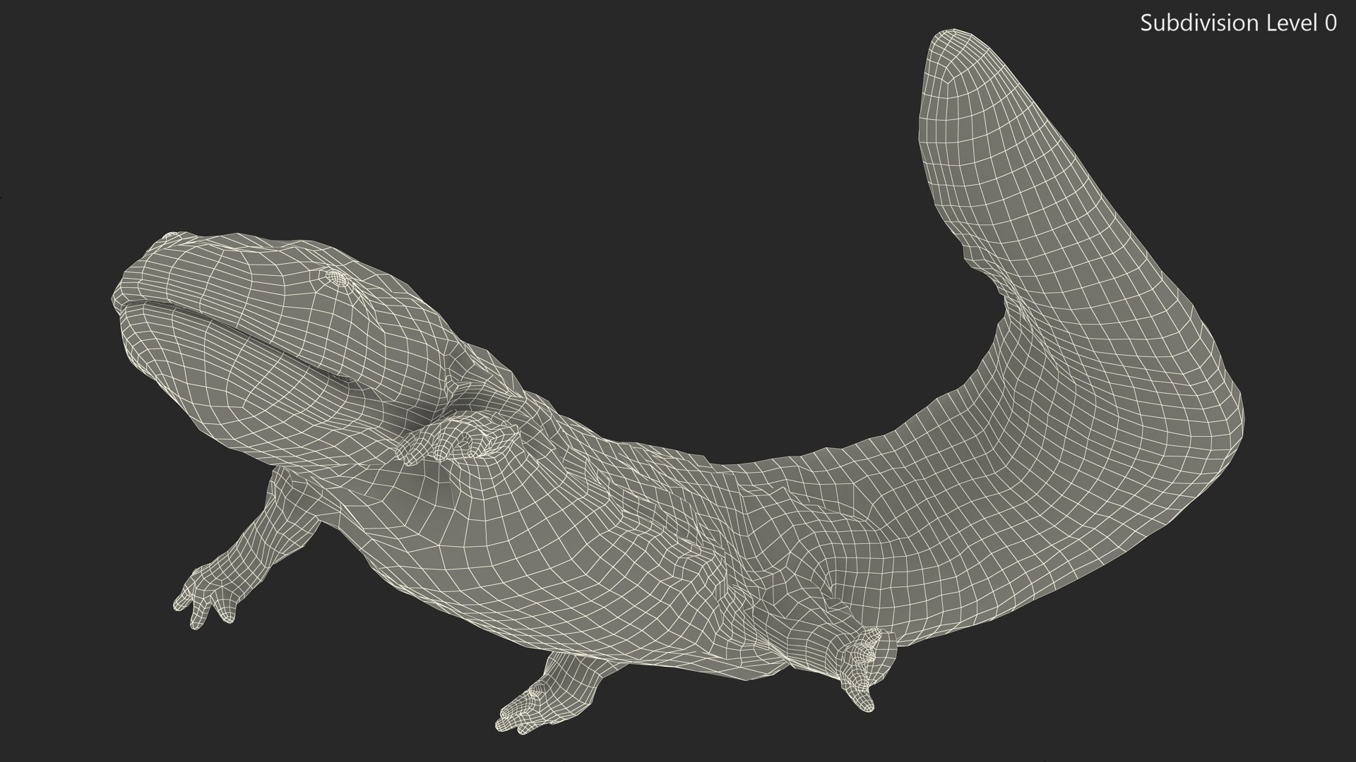 3D model Aquatic Giant Salamander Light Wet Swimming https://p.turbosquid.com/ts-thumb/mu/FeOjMP/3A/aquaticgiantsalamanderlightwetswimming3dmodel013/jpg/1716326640/1920x1080/fit_q87/43f33b683831a22632048750f136267e82c9f39f/aquaticgiantsalamanderlightwetswimming3dmodel013.jpg