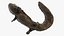 Salamandra Gigante Aquática Natação Molhada Leve