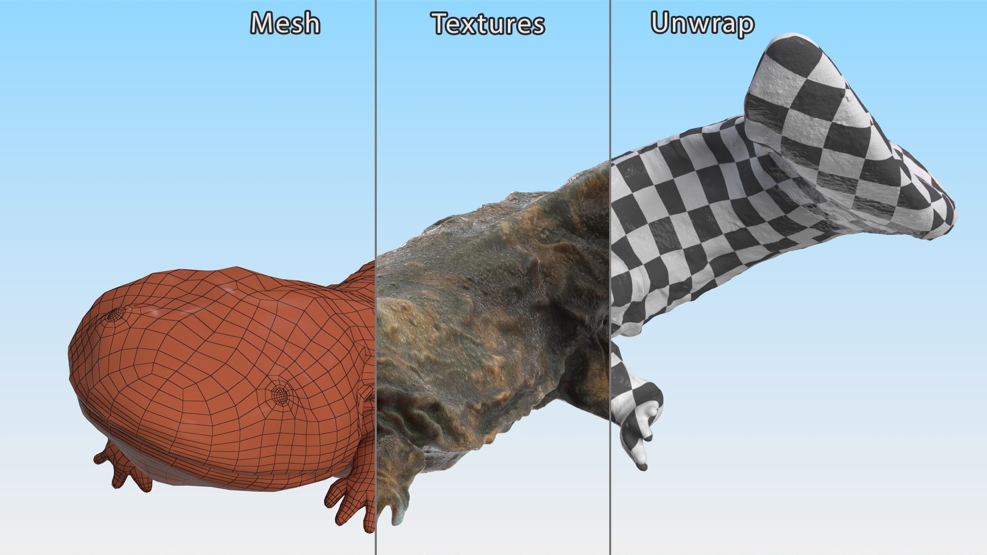 3D model Aquatic Giant Salamander Light Wet Swimming https://p.turbosquid.com/ts-thumb/mu/FeOjMP/9J/aquaticgiantsalamanderlightwetswimming3dmodel012/jpg/1716326637/1920x1080/fit_q87/89269daab5da70f5a0c79b621d9a47ff07be5579/aquaticgiantsalamanderlightwetswimming3dmodel012.jpg