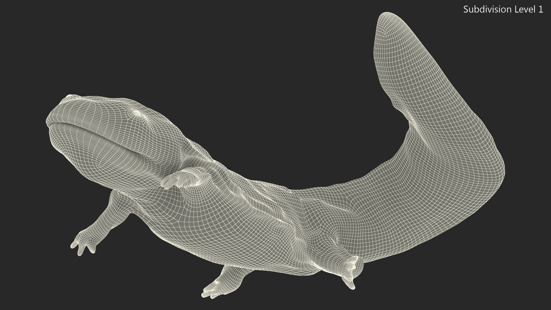 3D model Aquatic Giant Salamander Light Wet Swimming https://p.turbosquid.com/ts-thumb/mu/FeOjMP/JX/aquaticgiantsalamanderlightwetswimming3dmodel014/jpg/1716326644/1920x1080/fit_q87/26d03ef7f58cb609e933e3169ea91dda9c9d9456/aquaticgiantsalamanderlightwetswimming3dmodel014.jpg