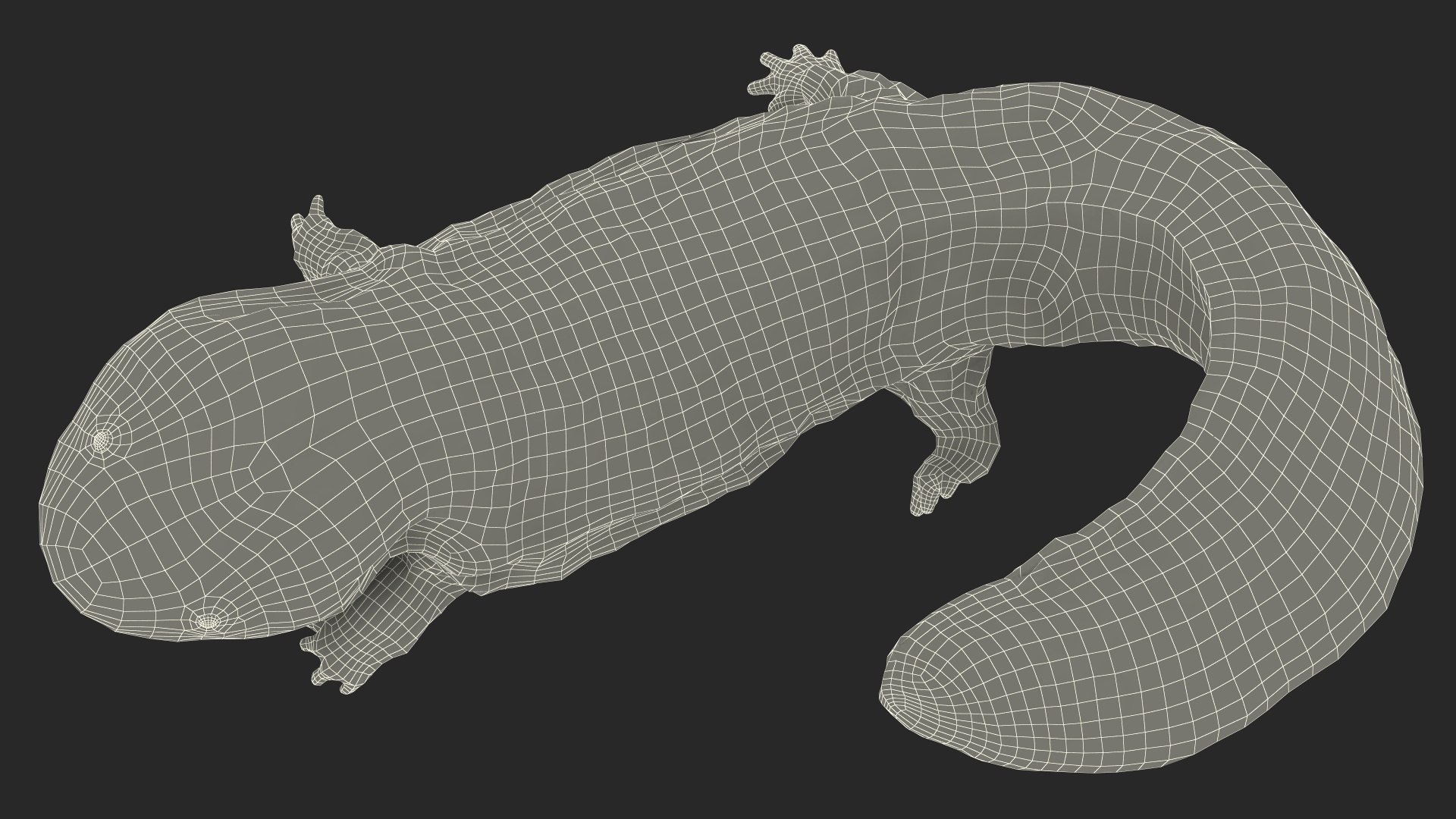 3D model Aquatic Giant Salamander Light Wet Swimming https://p.turbosquid.com/ts-thumb/mu/FeOjMP/Mg/aquaticgiantsalamanderlightwetswimming3dmodel024/jpg/1716326680/1920x1080/fit_q87/af16bce97c29cdb5a671a15871c099051840bd18/aquaticgiantsalamanderlightwetswimming3dmodel024.jpg