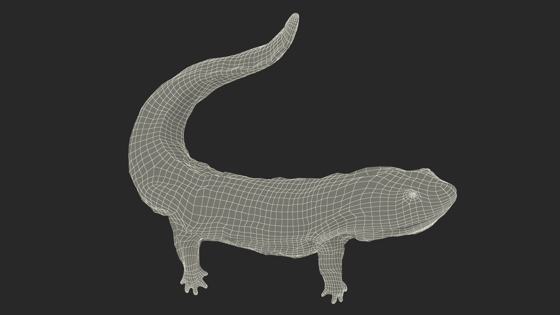 3D model Aquatic Giant Salamander Light Wet Swimming https://p.turbosquid.com/ts-thumb/mu/FeOjMP/nu/aquaticgiantsalamanderlightwetswimming3dmodel023/jpg/1716326677/1920x1080/fit_q87/8949c387d3076f1501cd95af8c878f2e411ac028/aquaticgiantsalamanderlightwetswimming3dmodel023.jpg