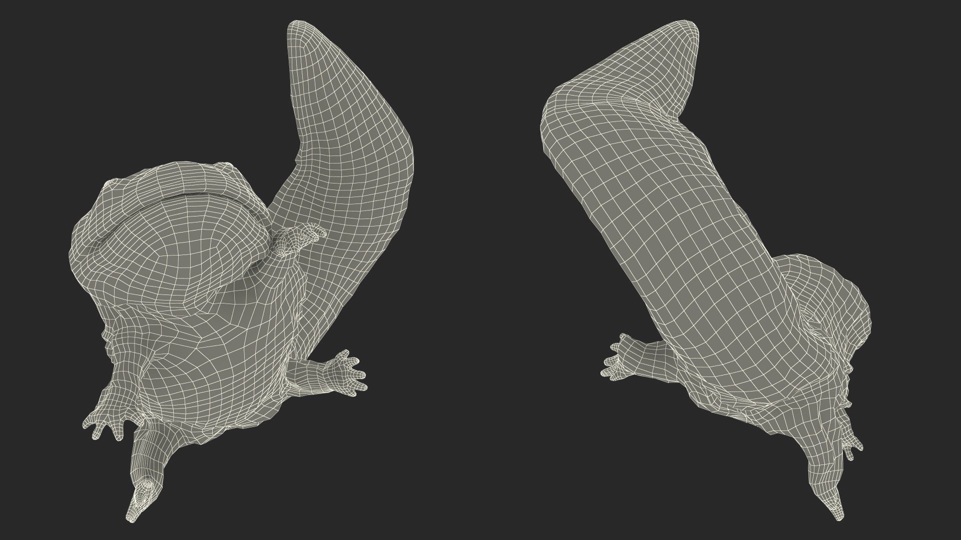 3D model Aquatic Giant Salamander Light Wet Swimming https://p.turbosquid.com/ts-thumb/mu/FeOjMP/uy/aquaticgiantsalamanderlightwetswimming3dmodel022/jpg/1716326673/1920x1080/fit_q87/350f68ae4c7c7b7692b37a26504c112c13f81c26/aquaticgiantsalamanderlightwetswimming3dmodel022.jpg