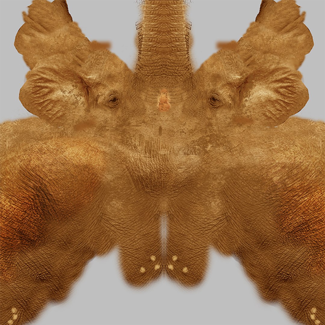 3D African Elephant RIGGED L2375 https://p.turbosquid.com/ts-thumb/mu/K6zE19/WC/039/png/1745005757/1920x1080/fit_q87/4fe97f5aea13ca1713e9da5b2949dc0f5185fc62/039.jpg