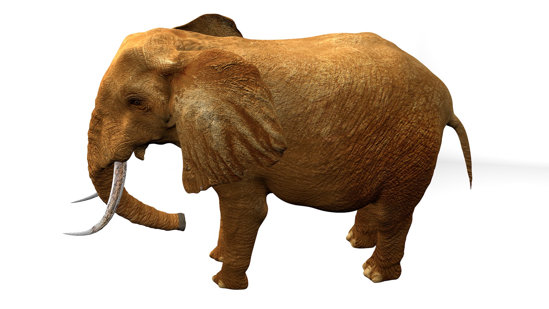 3D African Elephant RIGGED L2375 https://p.turbosquid.com/ts-thumb/mu/K6zE19/b1/16_0025/png/1745005700/1920x1080/fit_q87/63ac8fdc6e0970c346795f42fe9afcd216bdfdf0/16_0025.jpg