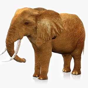 3D African Elephant RIGGED L2375