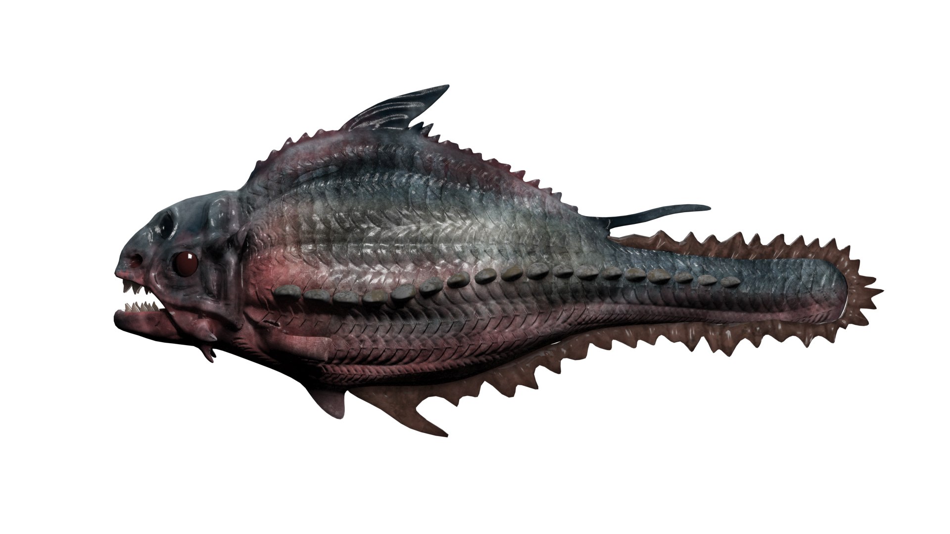 Piranha Fish Model - TurboSquid 1649237