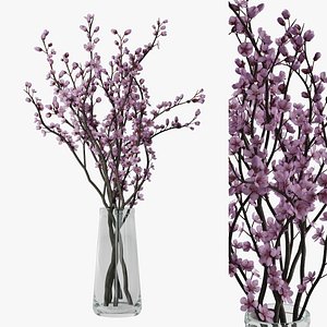 branches blossoming plum 3D