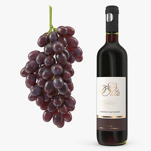 3D Wine Bottle with Grapes Collection 3