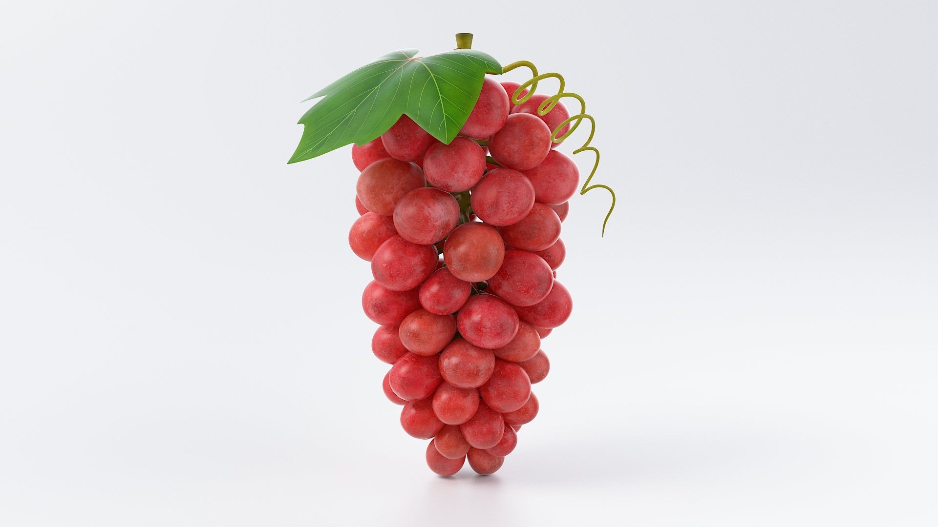Cartoon Grapes Collection 3D model https://p.turbosquid.com/ts-thumb/mu/XFRbw1/va/grapesredtba/jpg/1687848197/1920x1080/turn_fit_q99/03e4e9dafdcca31f9dd1d45c69d78246fa9a5eea/grapesredtba-1.jpg