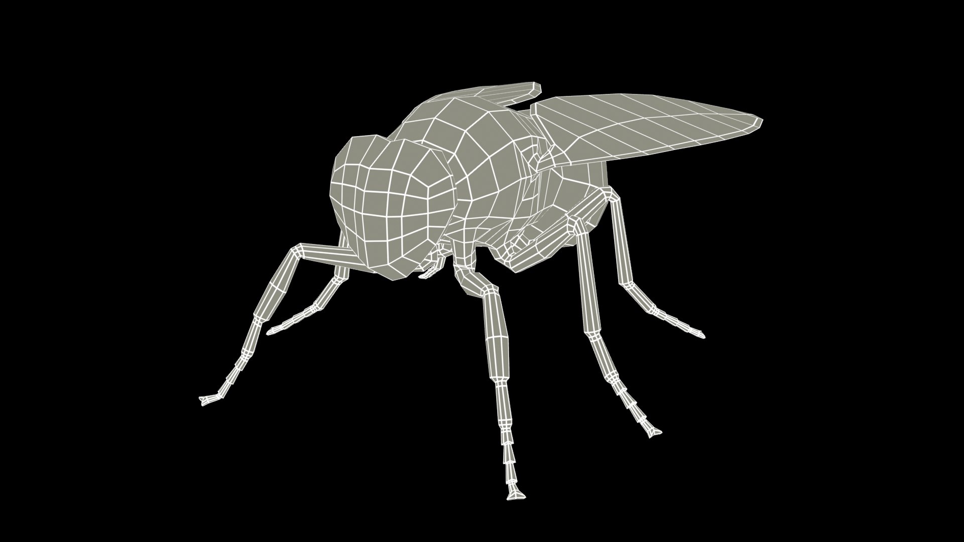fly animations 3D model https://p.turbosquid.com/ts-thumb/mu/a8o8Xr/qx/fly_screenshot_wire3/jpg/1687182517/1920x1080/fit_q87/ec917e10bdad5bfb3843d219ef83e1b271e6e80f/fly_screenshot_wire3.jpg