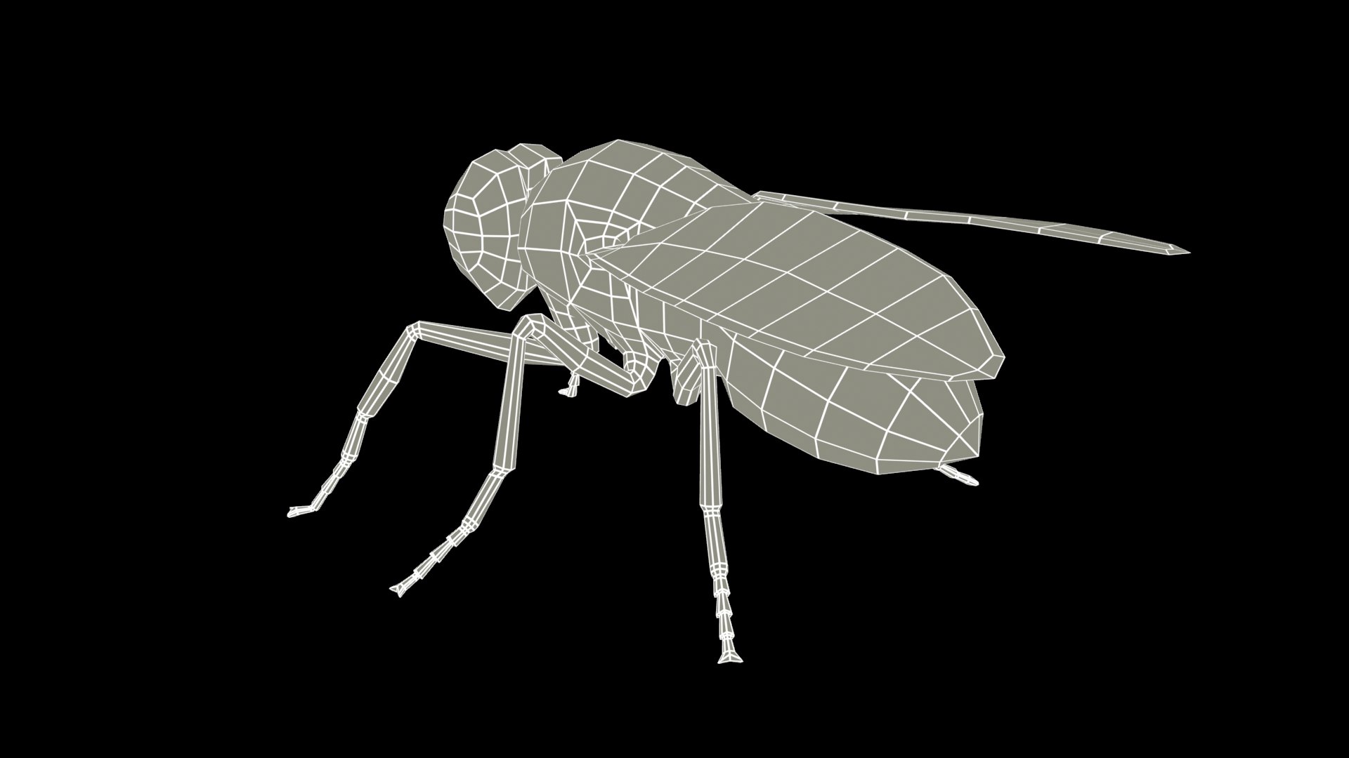 fly animations 3D model https://p.turbosquid.com/ts-thumb/mu/a8o8Xr/vl/fly_screenshot_wire2/jpg/1687182517/1920x1080/fit_q87/1a788b8c905ab1b80de7edb628ac3bc567035c72/fly_screenshot_wire2.jpg