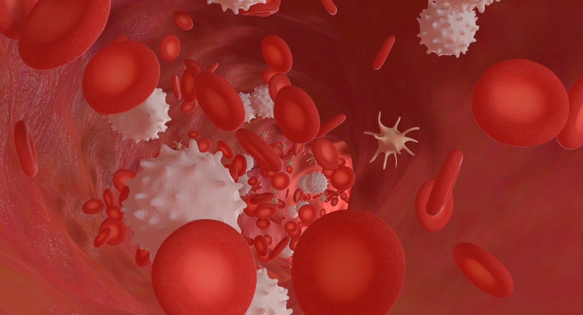 3D Bloodstream Blood Stream - TurboSquid 1319133