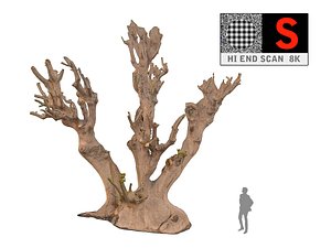 3ds max scanned
