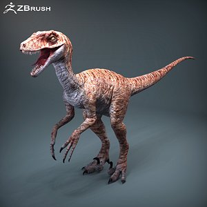 Raptor (+Zbrush Version)