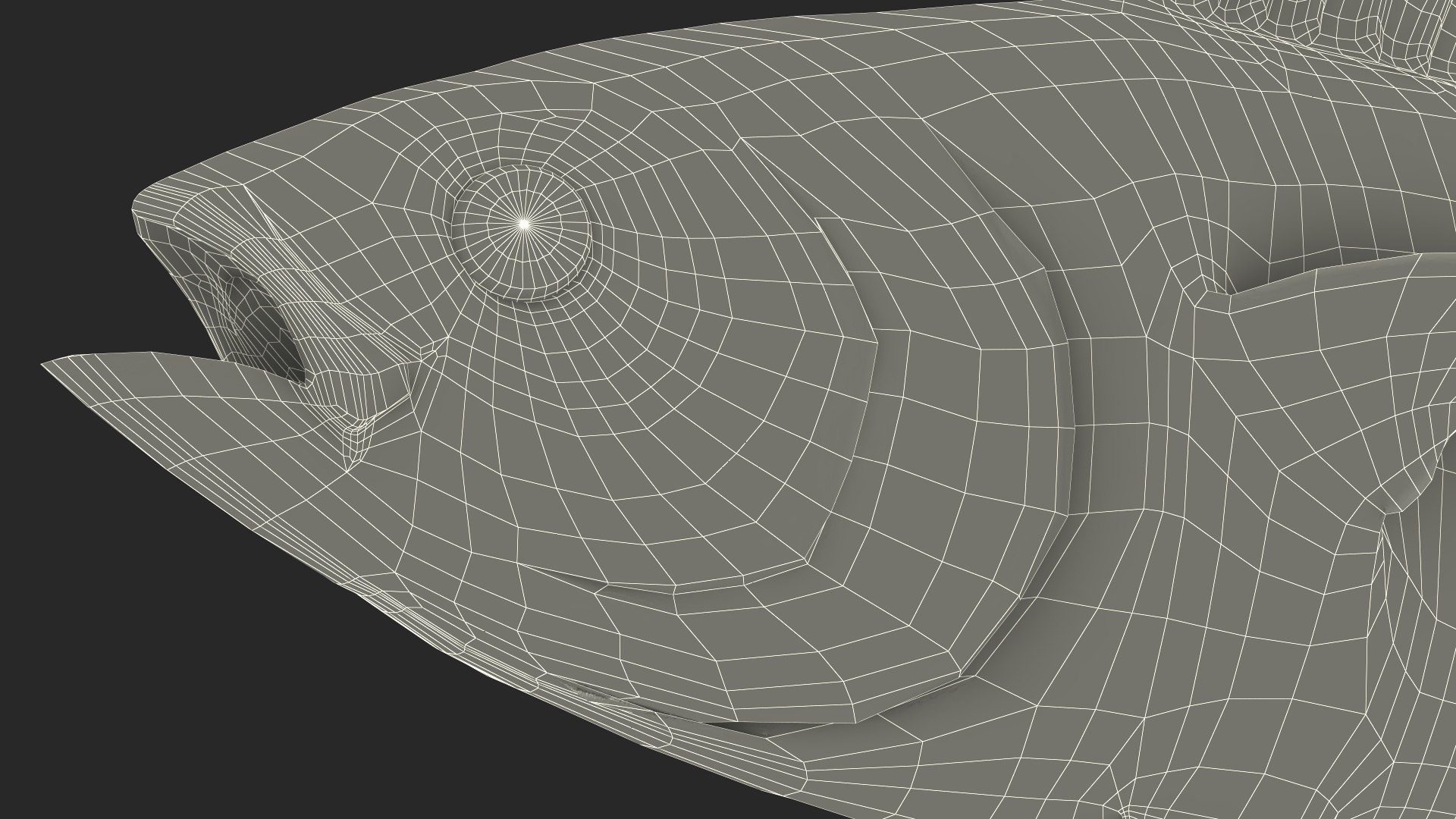 3D Bluefin Tuna Rigged for Maya https://p.turbosquid.com/ts-thumb/mu/sTGJv1/1c/bluefin_tuna_rigged_024/jpg/1743491872/1920x1080/fit_q87/5323c95a4c63e7420362caa76ed71bf04d99b5fc/bluefin_tuna_rigged_024.jpg