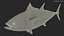 Bluefin Tuna Rigged for Maya