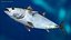 Bluefin Tuna Rigged for Maya