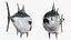 Bluefin Tuna Rigged for Maya