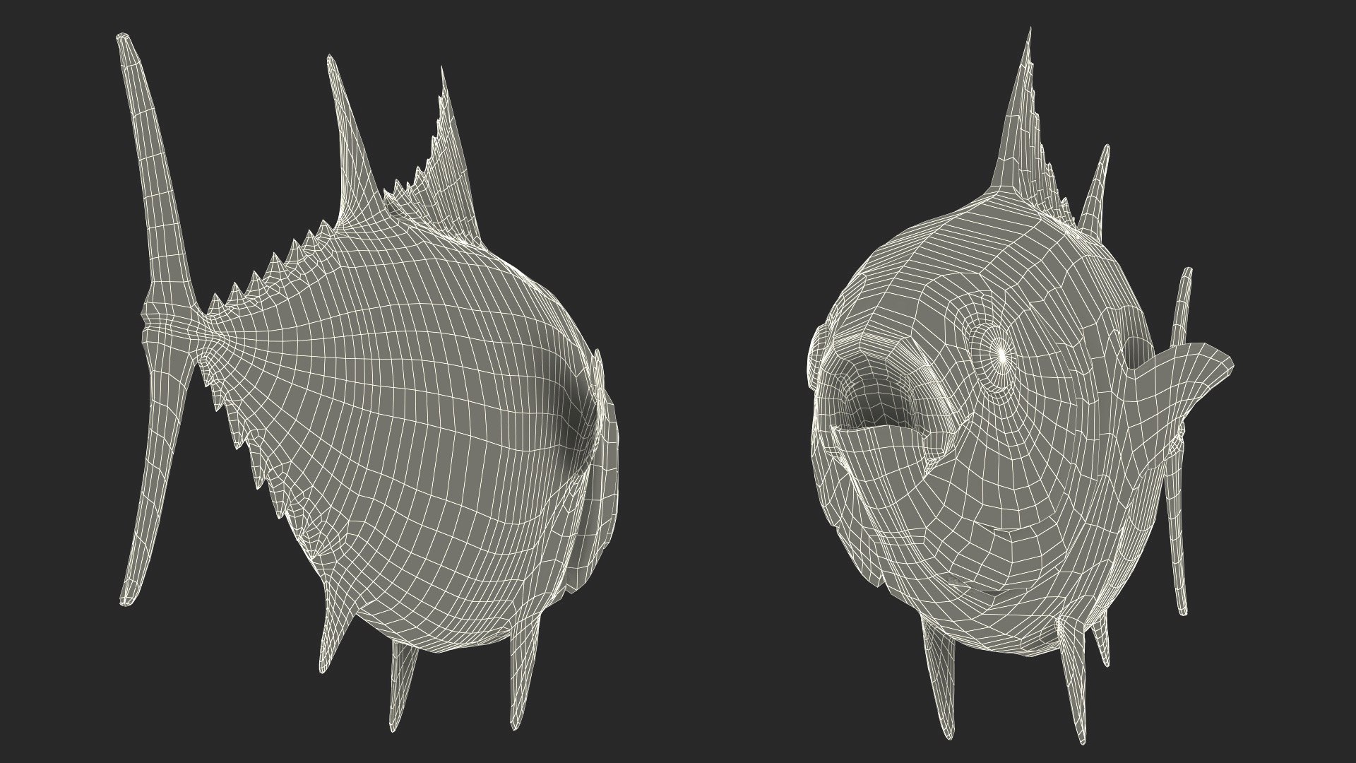3D Bluefin Tuna Rigged for Maya https://p.turbosquid.com/ts-thumb/mu/sTGJv1/WF/bluefin_tuna_rigged_022/jpg/1743491864/1920x1080/fit_q87/967cef592abbf93b3efe26421d4a53213f31bc0c/bluefin_tuna_rigged_022.jpg