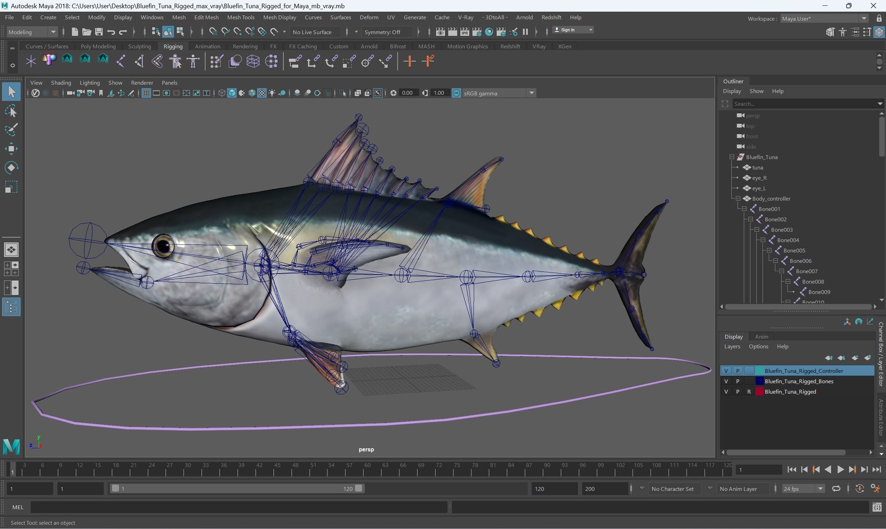 3D Bluefin Tuna Rigged for Maya https://p.turbosquid.com/ts-thumb/mu/sTGJv1/bg/bluefin_tuna_rigged_for_maya_003/jpg/1743491752/1920x1080/fit_q87/db5f8baf0c767da46970924cc36631ed8d77a365/bluefin_tuna_rigged_for_maya_003.jpg