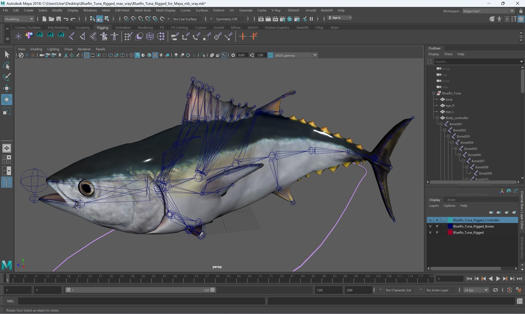 3D Bluefin Tuna Rigged for Maya https://p.turbosquid.com/ts-thumb/mu/sTGJv1/fe/bluefin_tuna_rigged_for_maya_007/jpg/1743491790/1920x1080/fit_q87/3562db9980d0a0420b3c35b616e18b10d4fa600a/bluefin_tuna_rigged_for_maya_007.jpg
