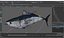 Bluefin Tuna Rigged for Maya