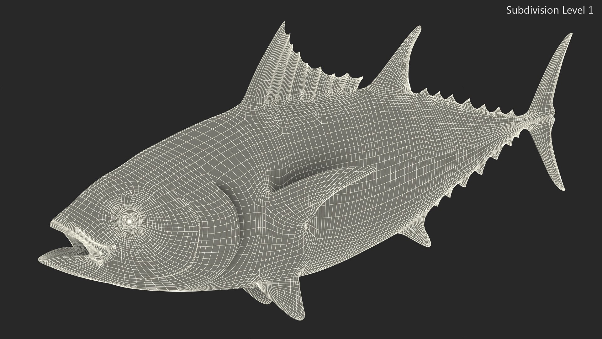 3D Bluefin Tuna Rigged for Maya https://p.turbosquid.com/ts-thumb/mu/sTGJv1/h6/bluefin_tuna_rigged_017/jpg/1743491842/1920x1080/fit_q87/1bb7d7e4a5c64490a9091aa23b1d238ac6761151/bluefin_tuna_rigged_017.jpg