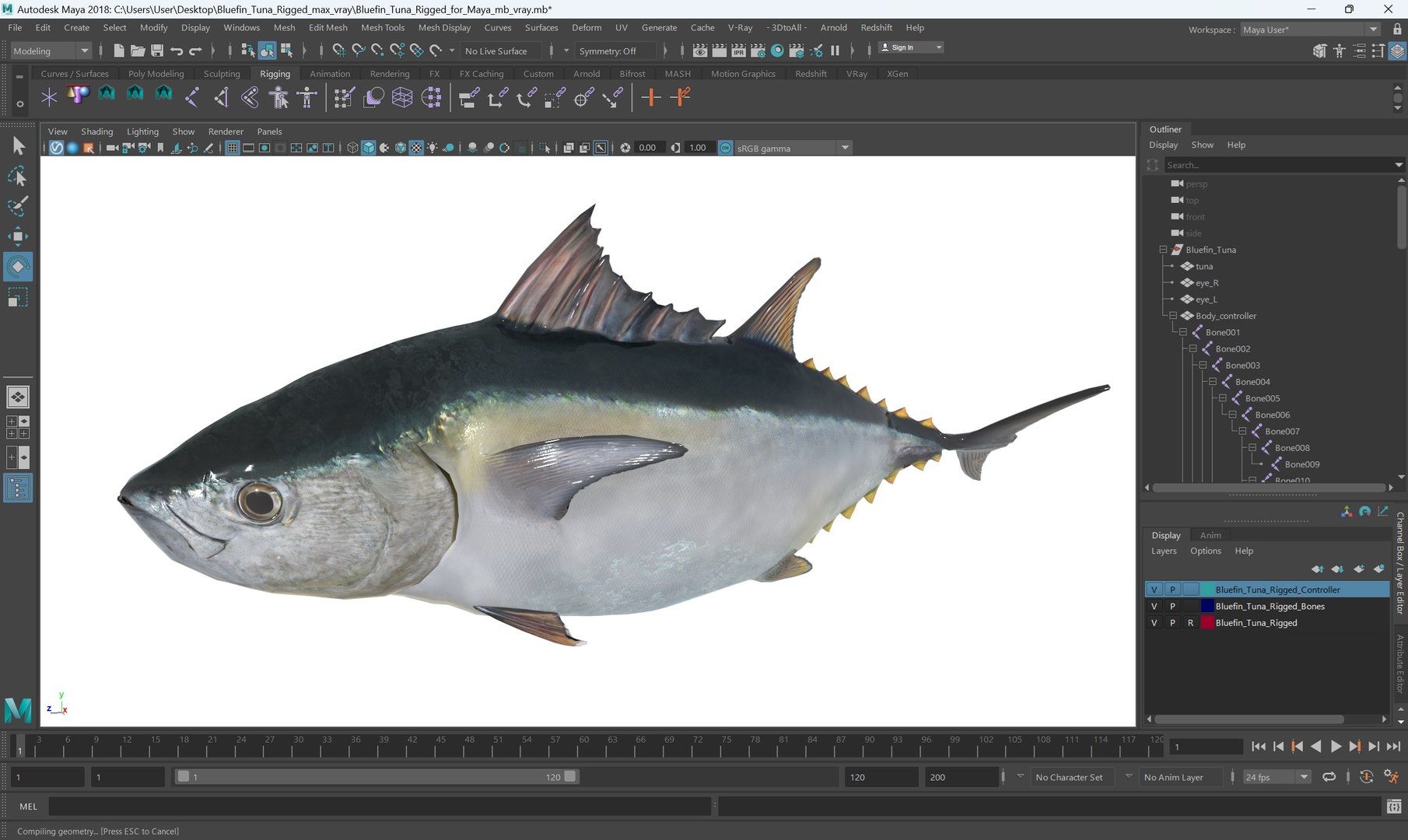 3D Bluefin Tuna Rigged for Maya https://p.turbosquid.com/ts-thumb/mu/sTGJv1/iL/bluefin_tuna_rigged_for_maya_009/jpg/1743491809/1920x1080/fit_q87/dddbe91a3e41cdc8157f6f029a376de3a99561b9/bluefin_tuna_rigged_for_maya_009.jpg
