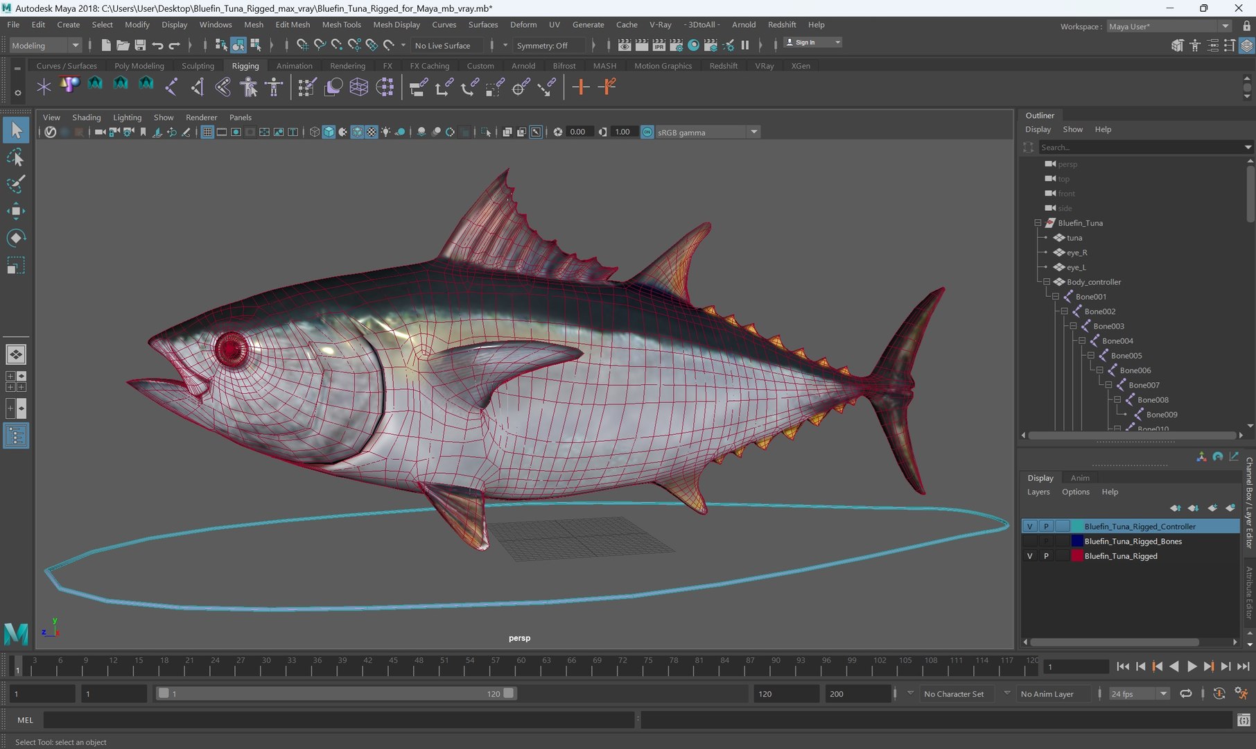 3D Bluefin Tuna Rigged For Maya - TurboSquid 2385641