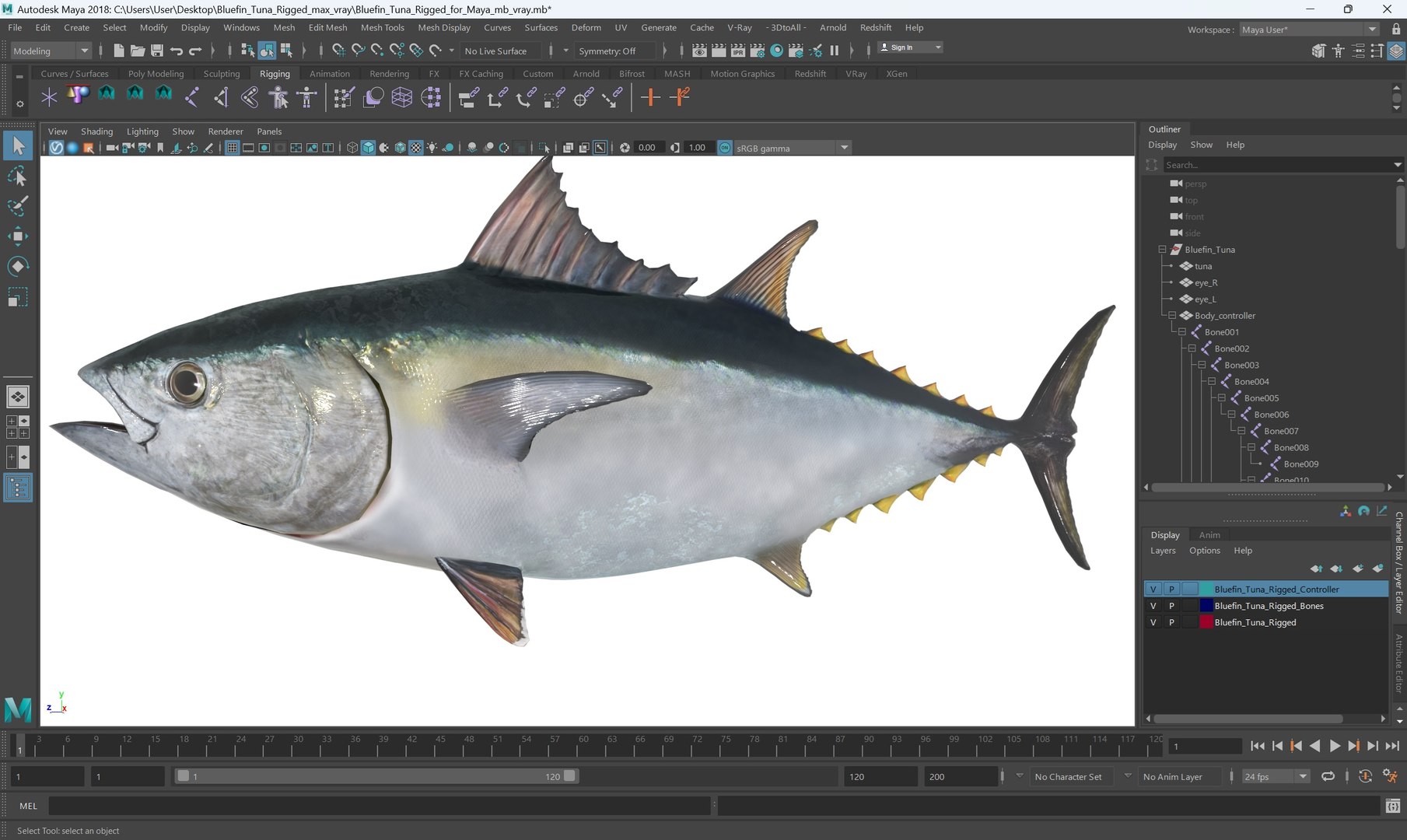 3D Bluefin Tuna Rigged for Maya https://p.turbosquid.com/ts-thumb/mu/sTGJv1/uZ/bluefin_tuna_rigged_for_maya_006/jpg/1743491781/1920x1080/fit_q87/9466ef24e6a34158175284a313a1f74cec4e19d4/bluefin_tuna_rigged_for_maya_006.jpg