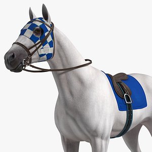 3D White Racehorse