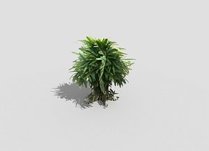 3d shrub model