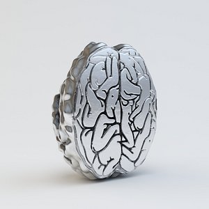 3d brain