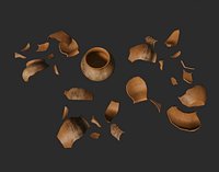 Pottery Shards Set