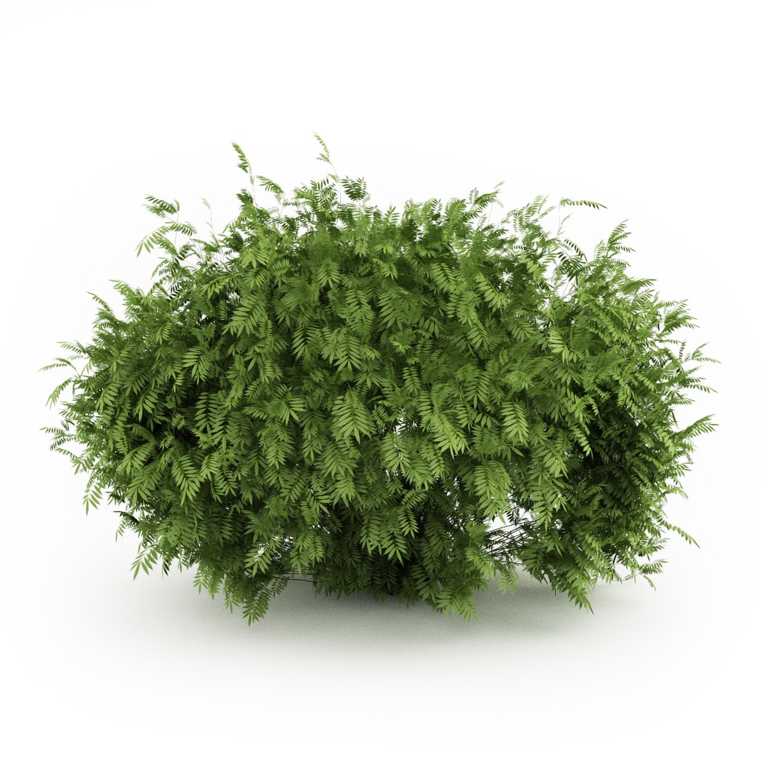 volume 19 max https://p.turbosquid.com/ts-thumb/mv/C6RMuS/H0hEB7B5/cgaxis_models_19_05a/jpg/1330354655/1920x1080/fit_q87/660f1fa1e60db50e717f888c94242020c64bfb1d/cgaxis_models_19_05a.jpg