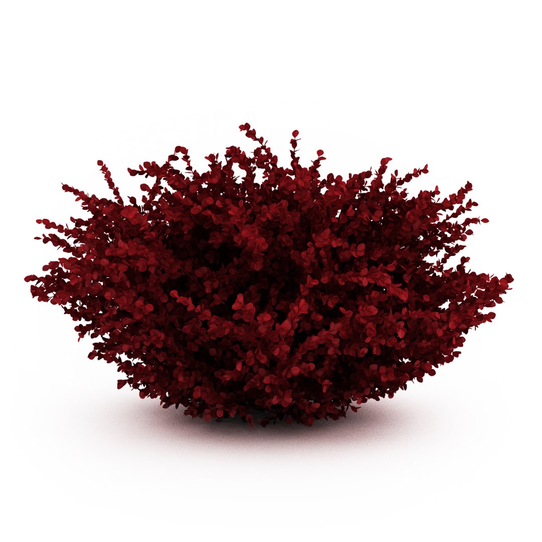 volume 19 max https://p.turbosquid.com/ts-thumb/mv/C6RMuS/UYpA16At/cgaxis_models_19_02a/jpg/1330354655/1920x1080/fit_q87/544558c9974929a1935c1ba343145916ba2d4181/cgaxis_models_19_02a.jpg