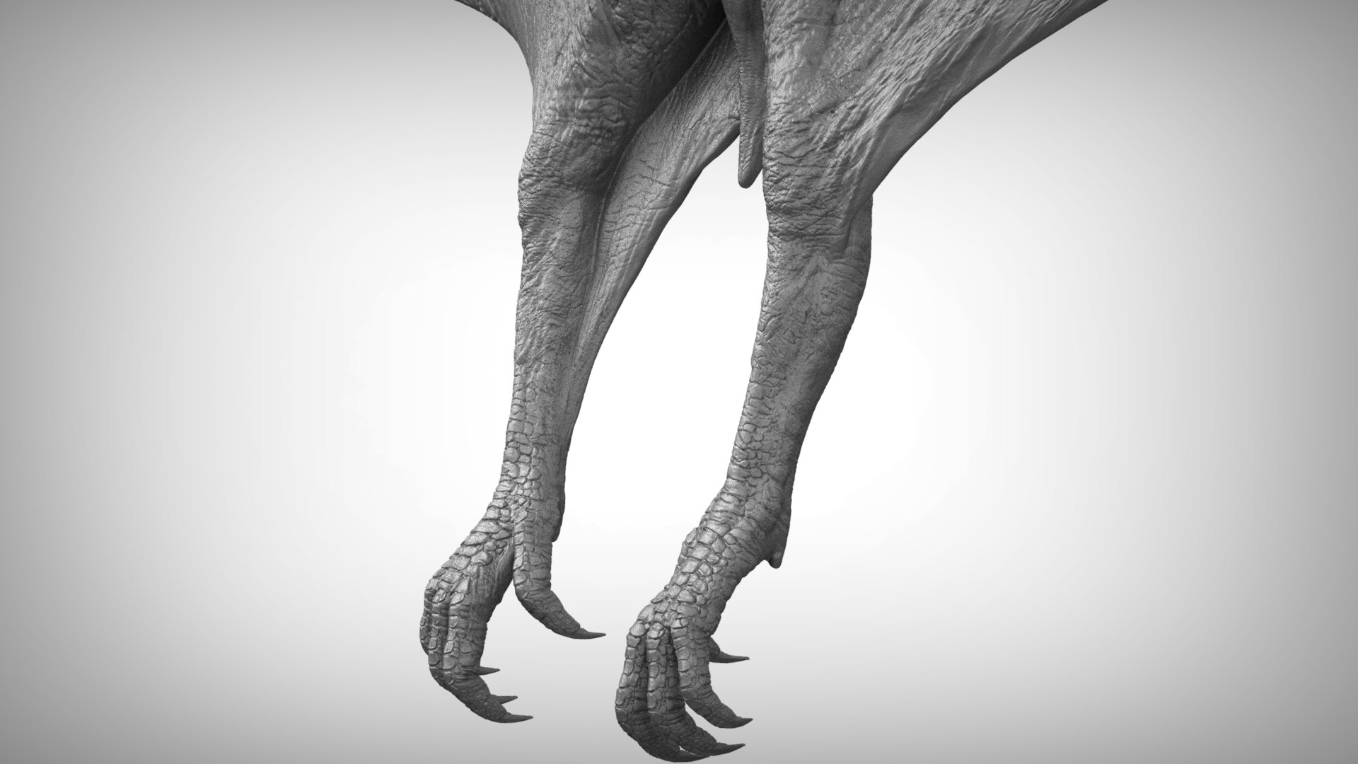 3D pteranodon https://p.turbosquid.com/ts-thumb/mv/IOedg1/2Z1jj8no/eleph_do.3042/jpg/1520718851/1920x1080/fit_q87/1706f5666789499f36cc42b95047a84c1ca7bdde/eleph_do.3042.jpg