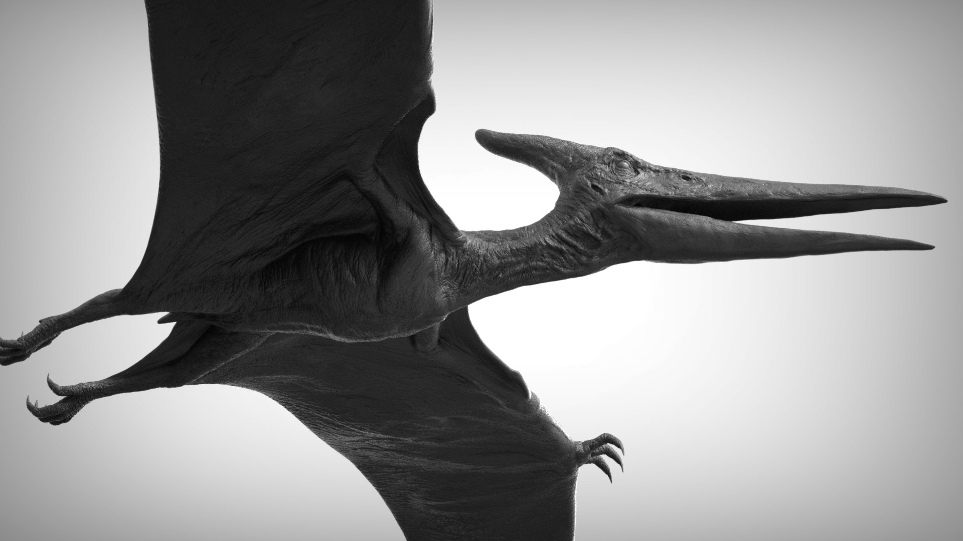 3D pteranodon https://p.turbosquid.com/ts-thumb/mv/IOedg1/30DW2SWn/eleph_do.3029/jpg/1520718748/1920x1080/fit_q87/9d6b52c4e530ccf6836069d57df49f94d1167a98/eleph_do.3029.jpg